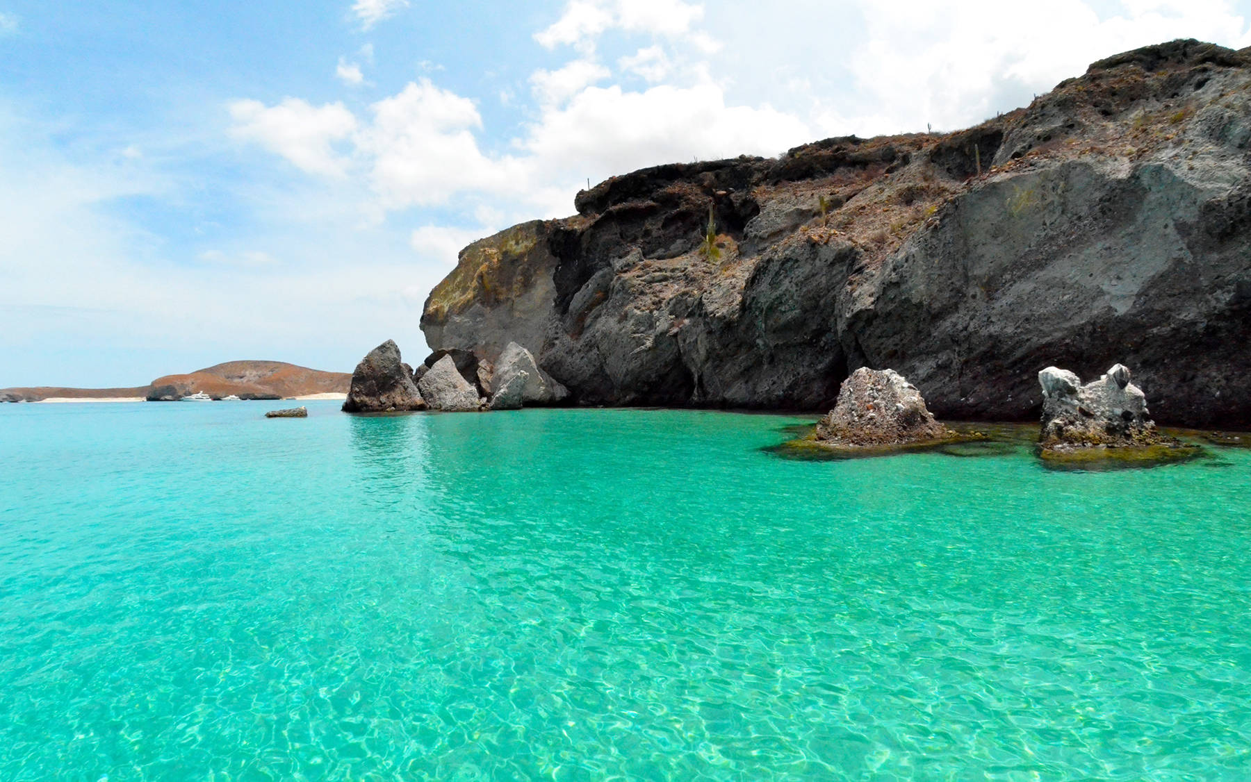 Baja Espiritu Santo | Home | La Paz Tours, Isla Espiritu Santo Tours